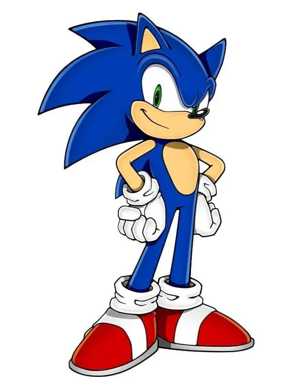 Sonic ,Full body cutter - Image 3