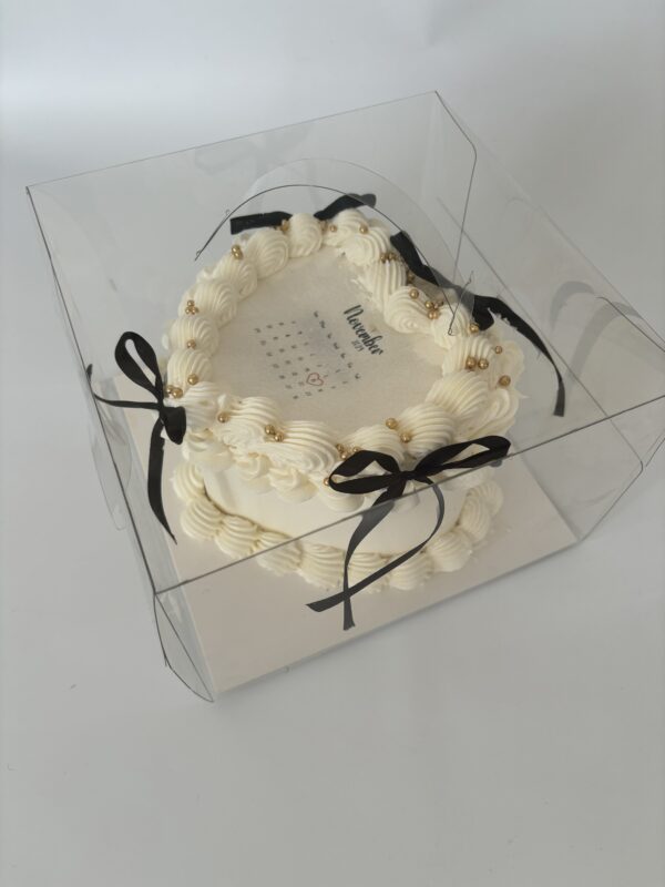 6 inch clear bento box