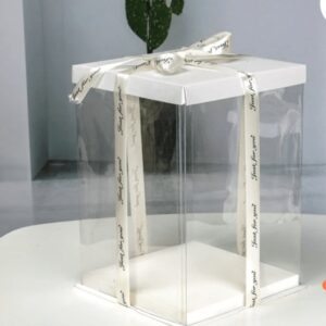 10" clear cake box